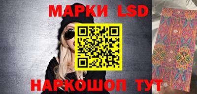 шишки Заволжье