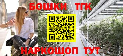 шишки Заволжье
