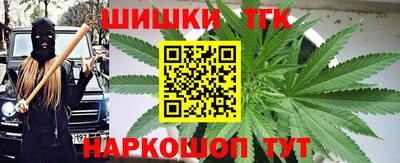 шишки Заволжье
