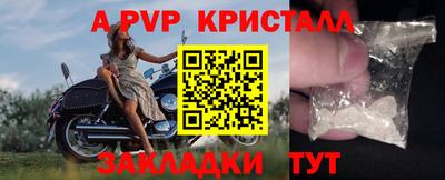 шишки Заволжье