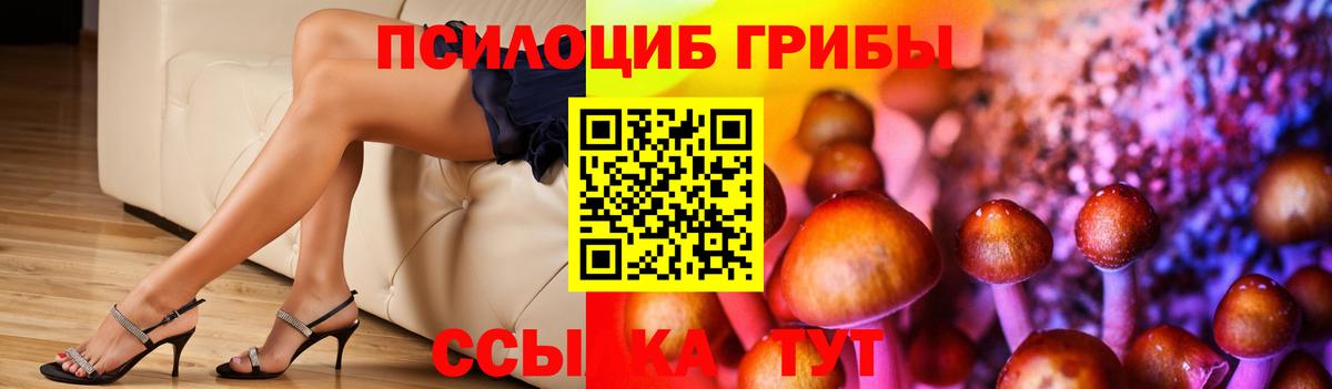 Людиново  Галлюциногенные грибы MAGIC MUSHROOMS  Псилоцибиновые грибы Cubensis  Вход с VPN 