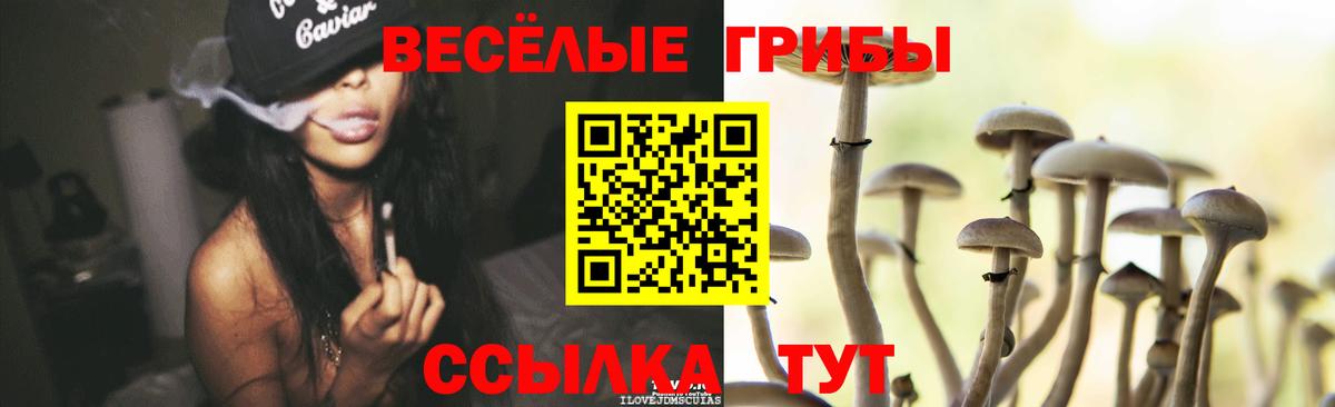 Галлюциногенные грибы ЛСД Людиново